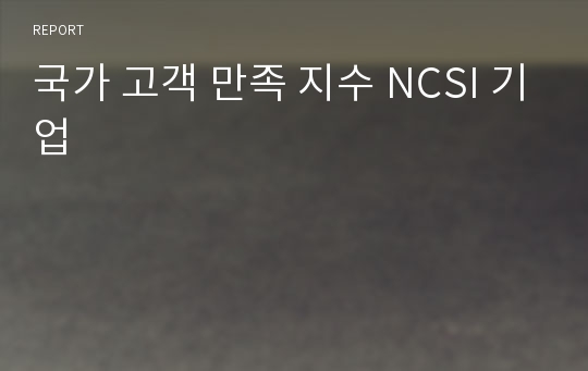 국가 고객 만족 지수 NCSI 기업