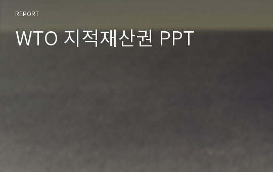 WTO 지적재산권 PPT