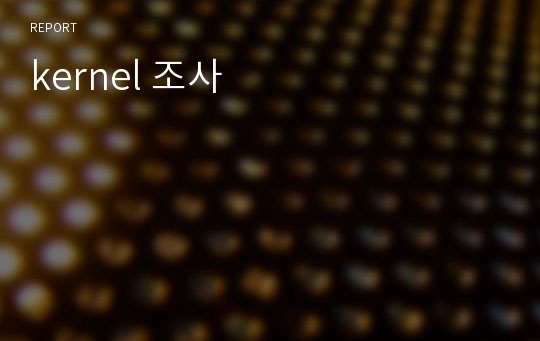 kernel 조사