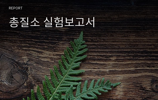 총질소 실험보고서