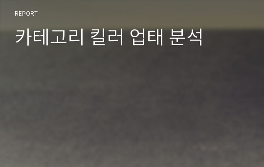 카테고리 킬러 업태 분석