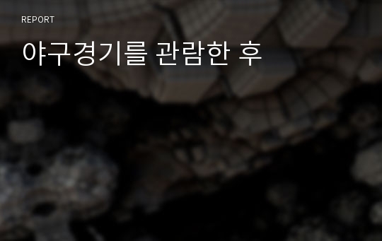 야구경기를 관람한 후