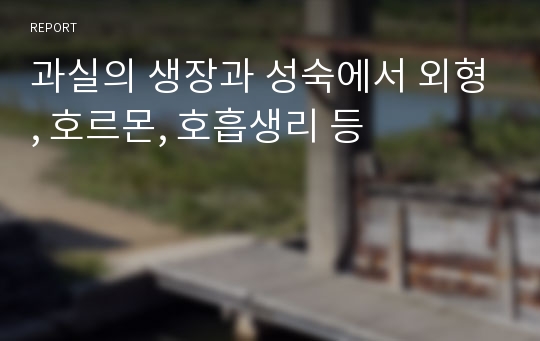 과실의 생장과 성숙에서 외형, 호르몬, 호흡생리 등