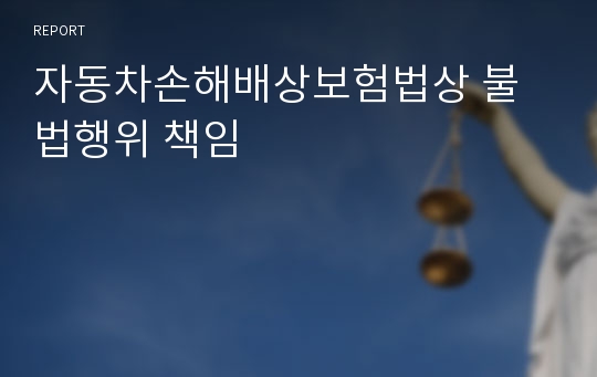 자동차손해배상보험법상 불법행위 책임