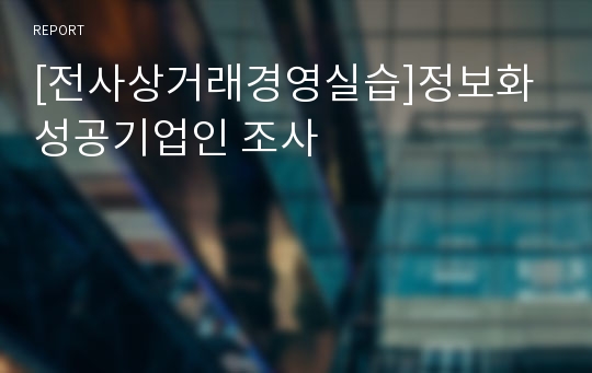 [전사상거래경영실습]정보화 성공기업인 조사