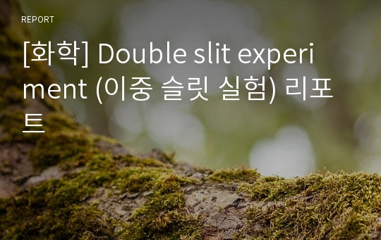 [화학] Double slit experiment (이중 슬릿 실험) 리포트