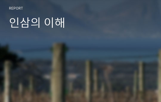 인삼의 이해