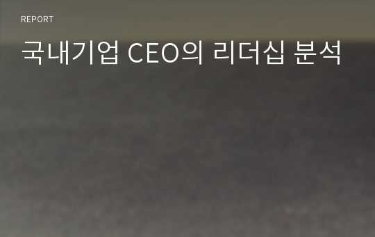 국내기업 CEO의 리더십 분석