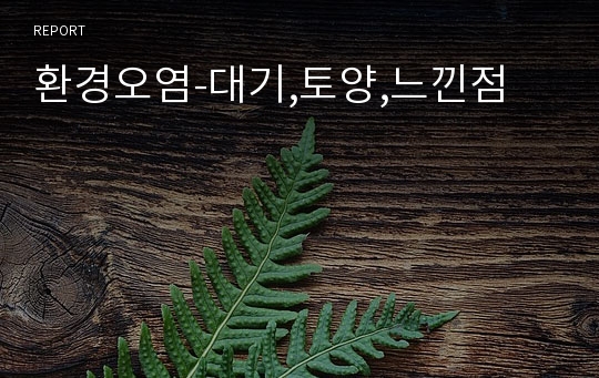 환경오염-대기,토양,느낀점