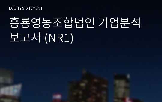 흥룡 기업분석 보고서 (NR1)