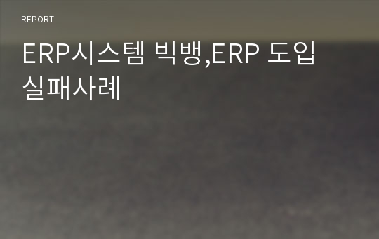 ERP시스템 빅뱅,ERP 도입 실패사례