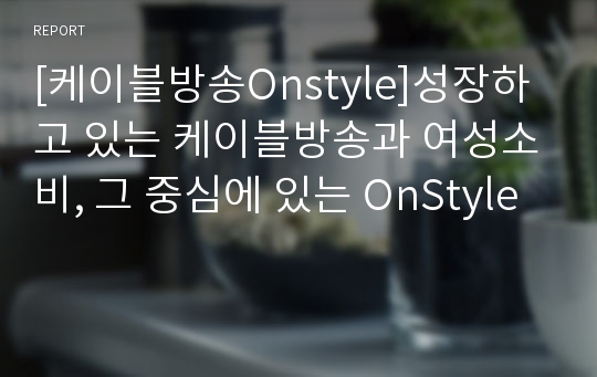 [케이블방송Onstyle]성장하고 있는 케이블방송과 여성소비, 그 중심에 있는 OnStyle