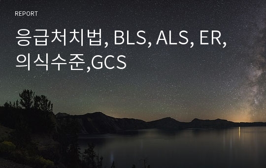 응급처치법, BLS, ALS, ER, 의식수준,GCS