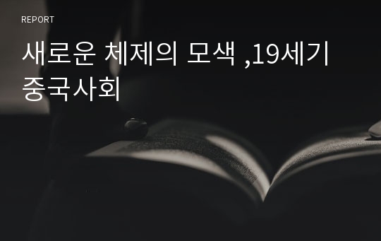 새로운 체제의 모색 ,19세기 중국사회