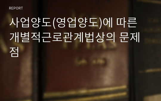 사업양도(영업양도)에 따른 개별적근로관계법상의 문제점