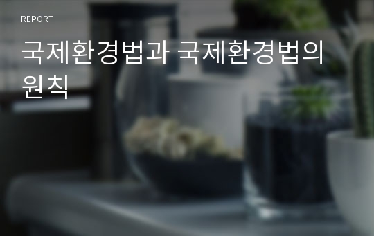 국제환경법과 국제환경법의 원칙