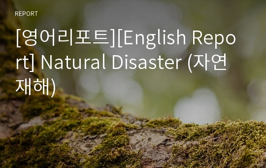 [영어리포트][English Report] Natural Disaster (자연재해)