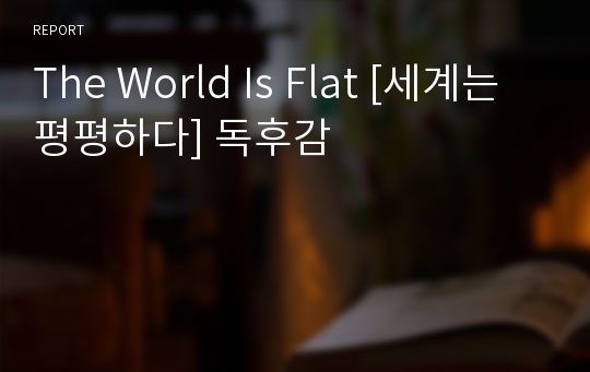 The World Is Flat [세계는 평평하다] 독후감