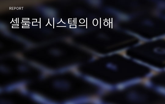 셀룰러 시스템의 이해