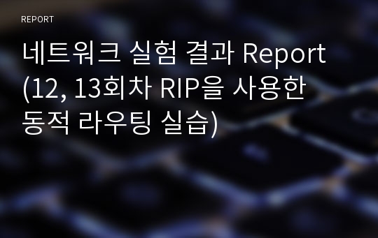 네트워크 실험 결과 Report (12, 13회차 RIP을 사용한 동적 라우팅 실습)