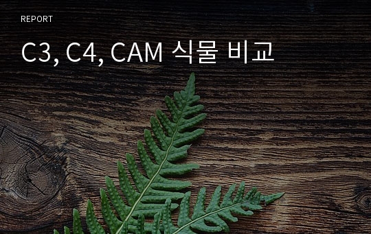 C3, C4, CAM 식물 비교