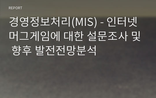 경영정보처리(MIS) - 인터넷머그게임에 대한 설문조사 및 향후 발전전망분석