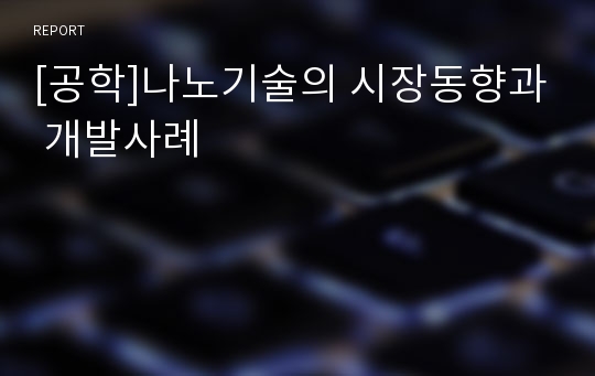 [공학]나노기술의 시장동향과 개발사례