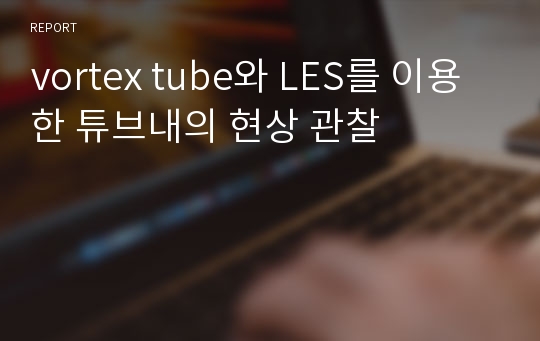 vortex tube와 LES를 이용한 튜브내의 현상 관찰