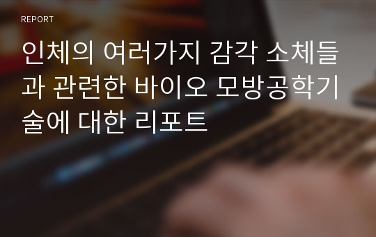 인체의 여러가지 감각 소체들과 관련한 바이오 모방공학기술에 대한 리포트