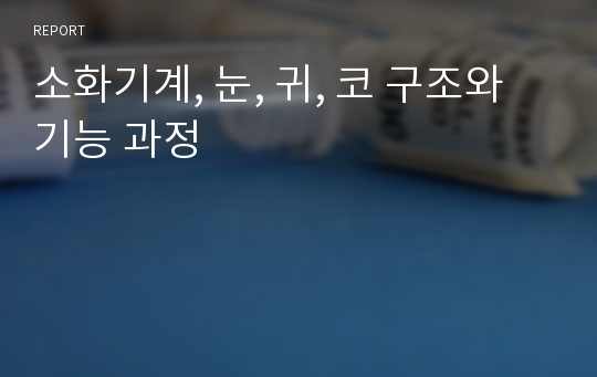 소화기계, 눈, 귀, 코 구조와 기능 과정