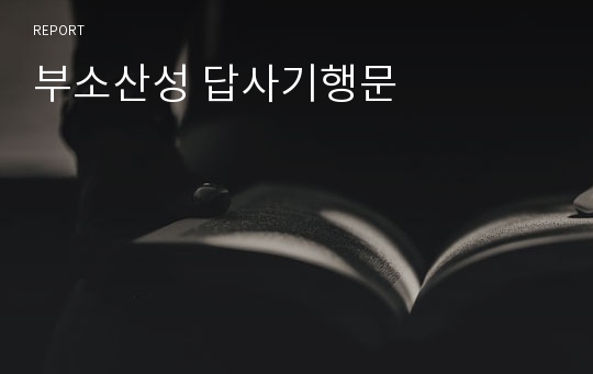 부소산성 답사기행문