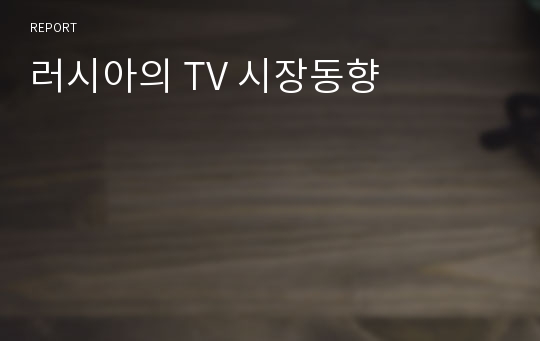 러시아의 TV 시장동향