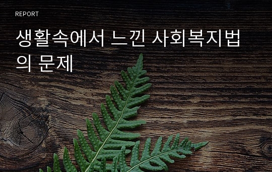 생활속에서 느낀 사회복지법의 문제