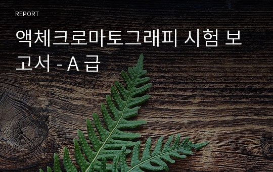 액체크로마토그래피 시험 보고서 - A 급