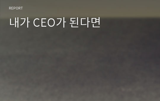 내가 CEO가 된다면