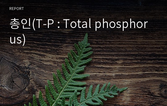 총인(T-P : Total phosphorus)