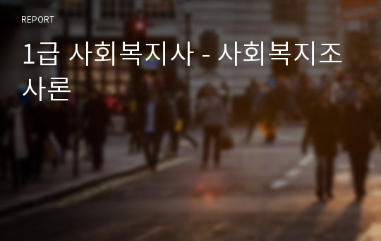 1급 사회복지사 - 사회복지조사론