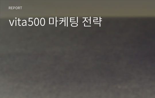 vita500 마케팅 전략