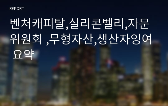 벤처캐피탈,실리콘벨리,자문위원회 ,무형자산,생산자잉여 요약