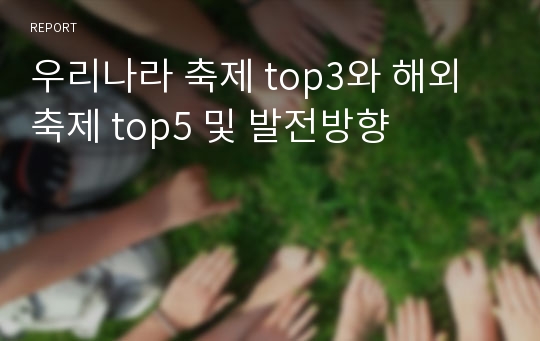 우리나라 축제 top3와 해외 축제 top5 및 발전방향