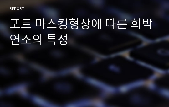 포트 마스킹형상에 따른 희박연소의 특성