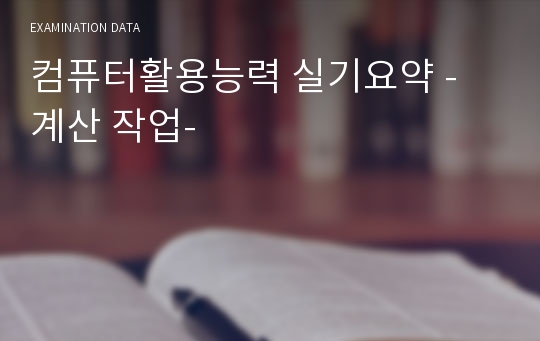 컴퓨터활용능력 실기요약 - 계산 작업-