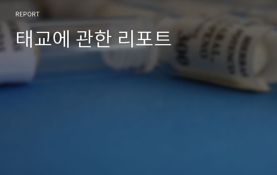 태교에 관한 리포트