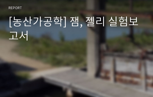 [농산가공학] 잼, 젤리 실험보고서