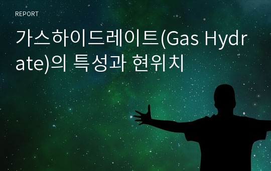 가스하이드레이트(Gas Hydrate)의 특성과 현위치