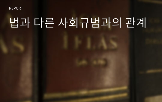 법과 다른 사회규범과의 관계