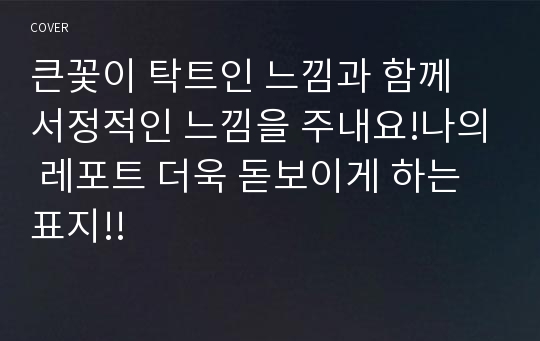 큰꽃이 탁트인 느낌과 함께 서정적인 느낌을 주내요!나의 레포트 더욱 돋보이게 하는 표지!!