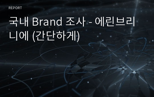 국내 Brand 조사 - 에린브리니에 (간단하게)