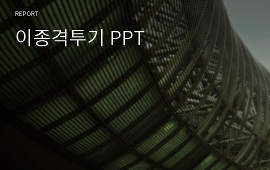 이종격투기 PPT