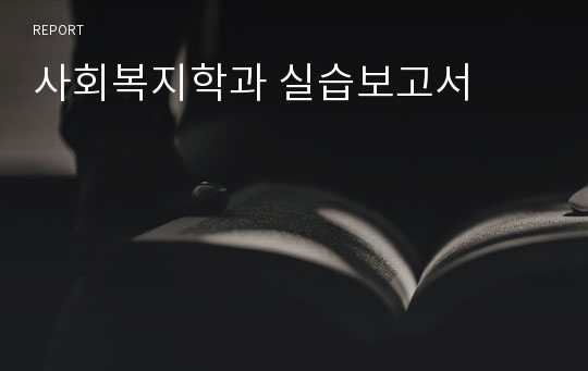 사회복지학과 실습보고서